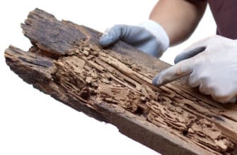 When is the best time to get a termite inspection? - Budget Brothers ...